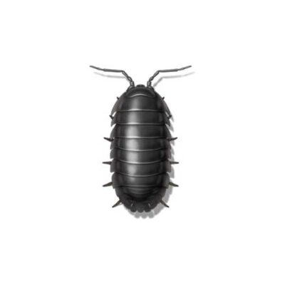 Sow Bug | Griffin Pest Solutions serving Kalamazoo, MI
